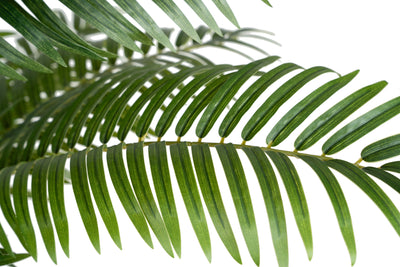 Palmier artificial H150cm Areca cu 10 tulpini si 10 frunze