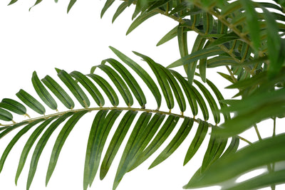 Palmier artificial H150cm Areca cu 10 tulpini si 10 frunze