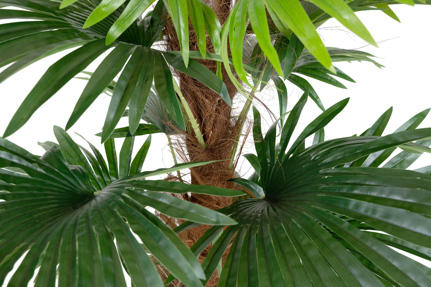 Palmier artificial H150cm Chamaerops humilis cu 18 frunze