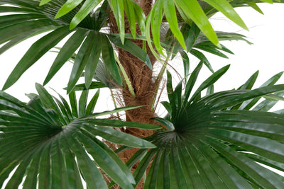 Palmier artificial H150cm Chamaerops humilis cu 18 frunze