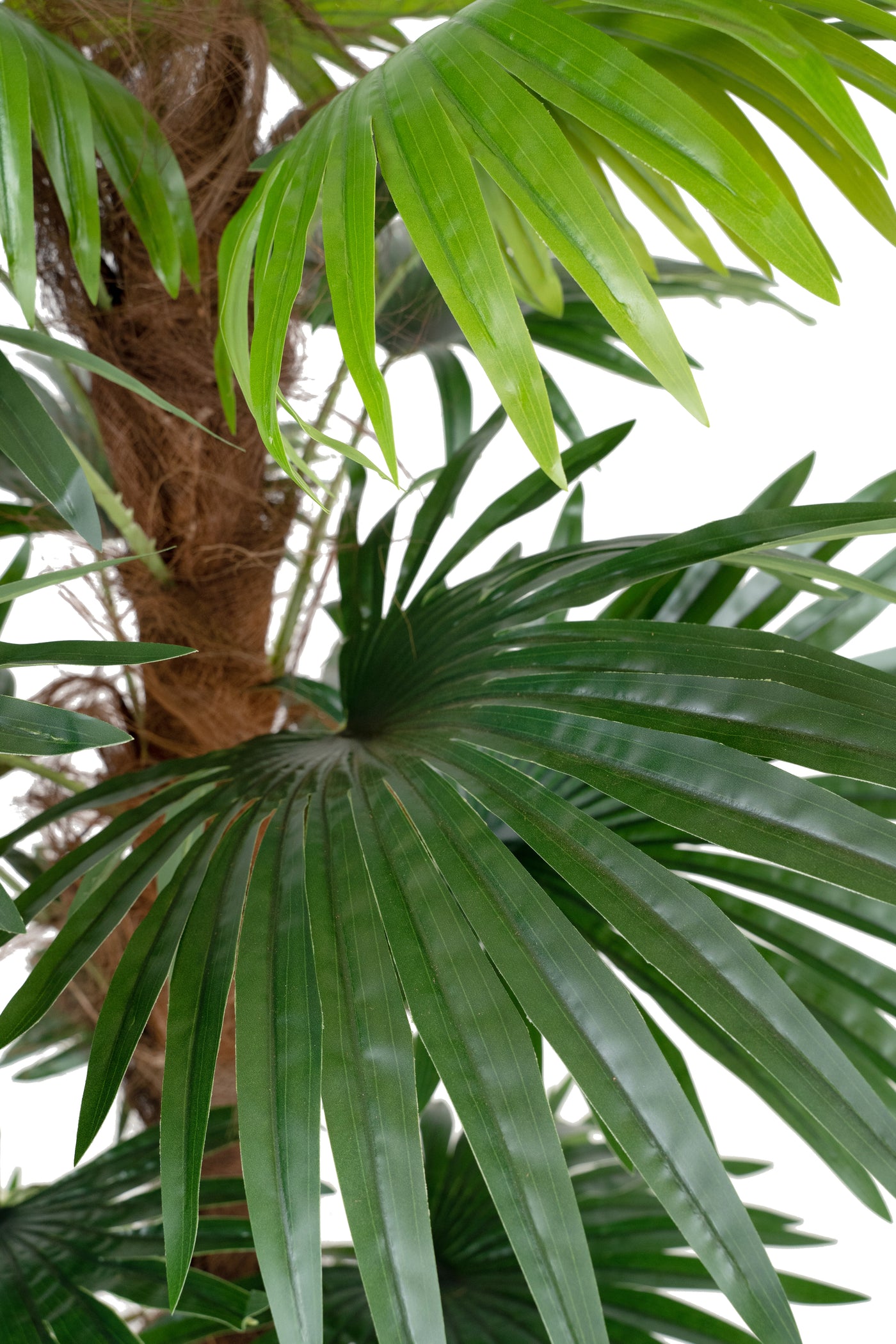 Palmier artificial H150cm Chamaerops humilis cu 18 frunze