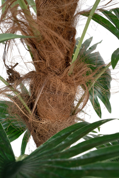 Palmier artificial H150cm Chamaerops humilis cu 18 frunze