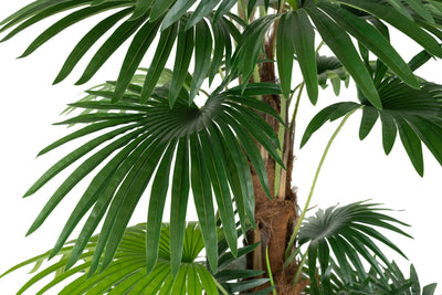 Palmier artificial H150cm Chamaerops humilis cu 24 frunze