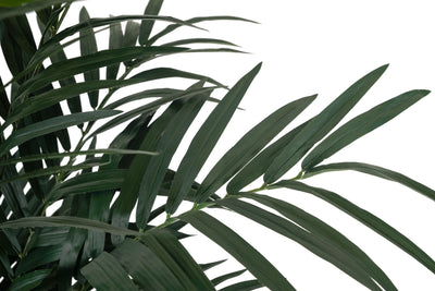 Palmier artificial H150cm Kentia cu 16 frunze