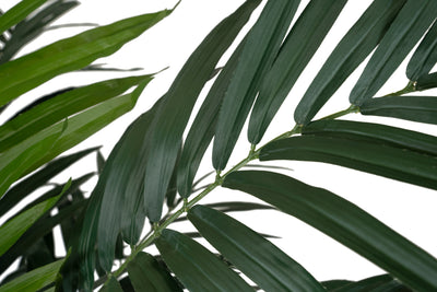 Palmier artificial H150cm Kentia cu 16 frunze