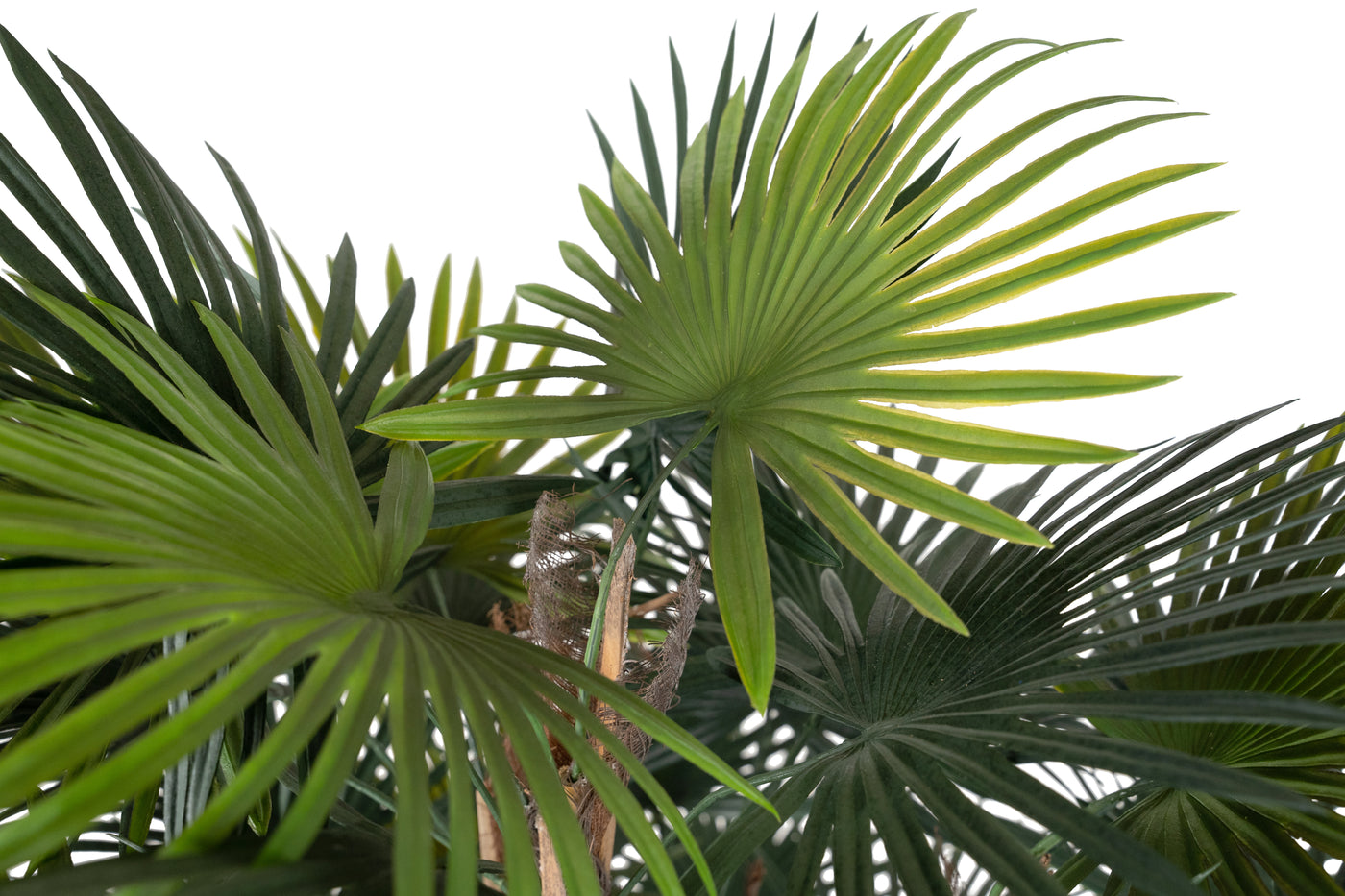 Palmier artificial H150cm Rhapis excelsa cu 86 frunze cu protectie UV