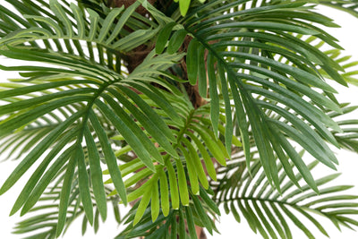 Palmier artificial H160cm Areca cu 48 frunze