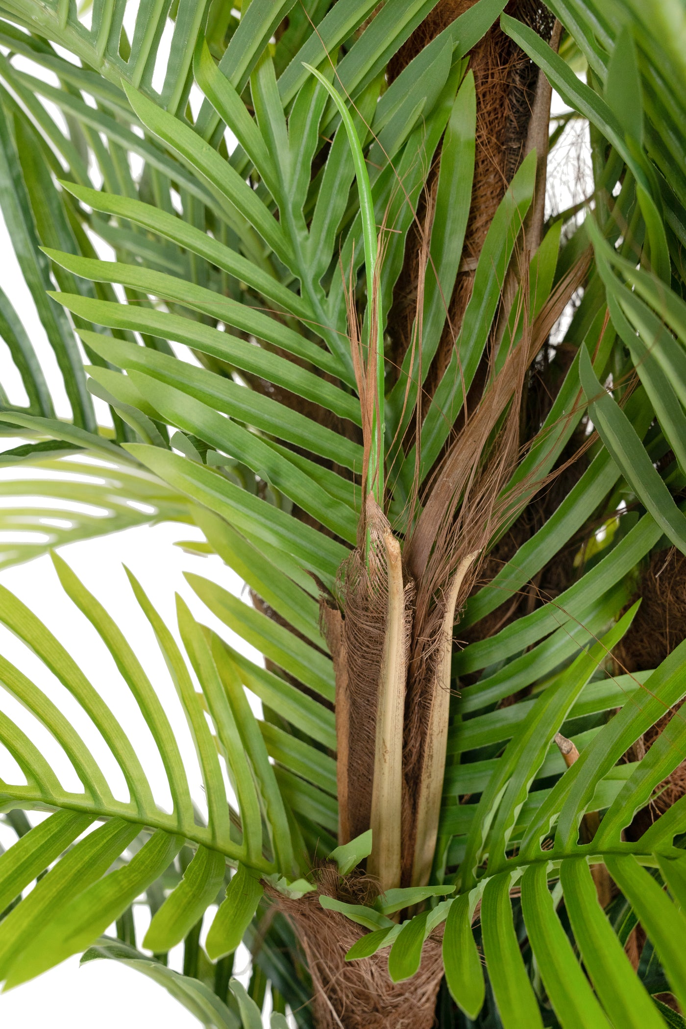 Palmier artificial H160cm Areca cu 48 frunze