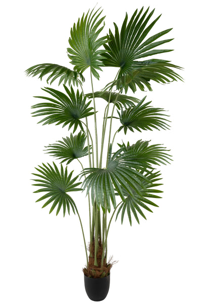 Palmier artificial H160cm Washingtonia robusta cu 12 frunze cu protectie UV