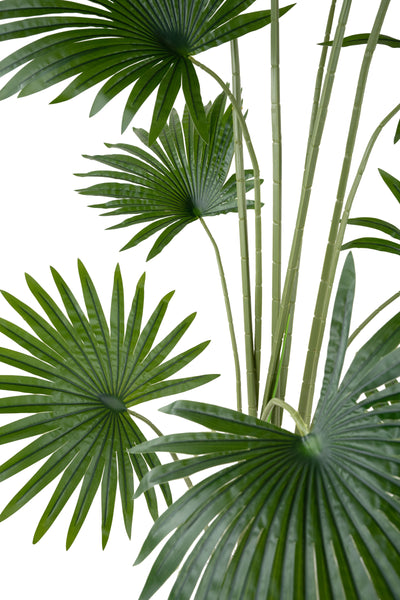 Palmier artificial H160cm Washingtonia robusta cu 12 frunze cu protectie UV