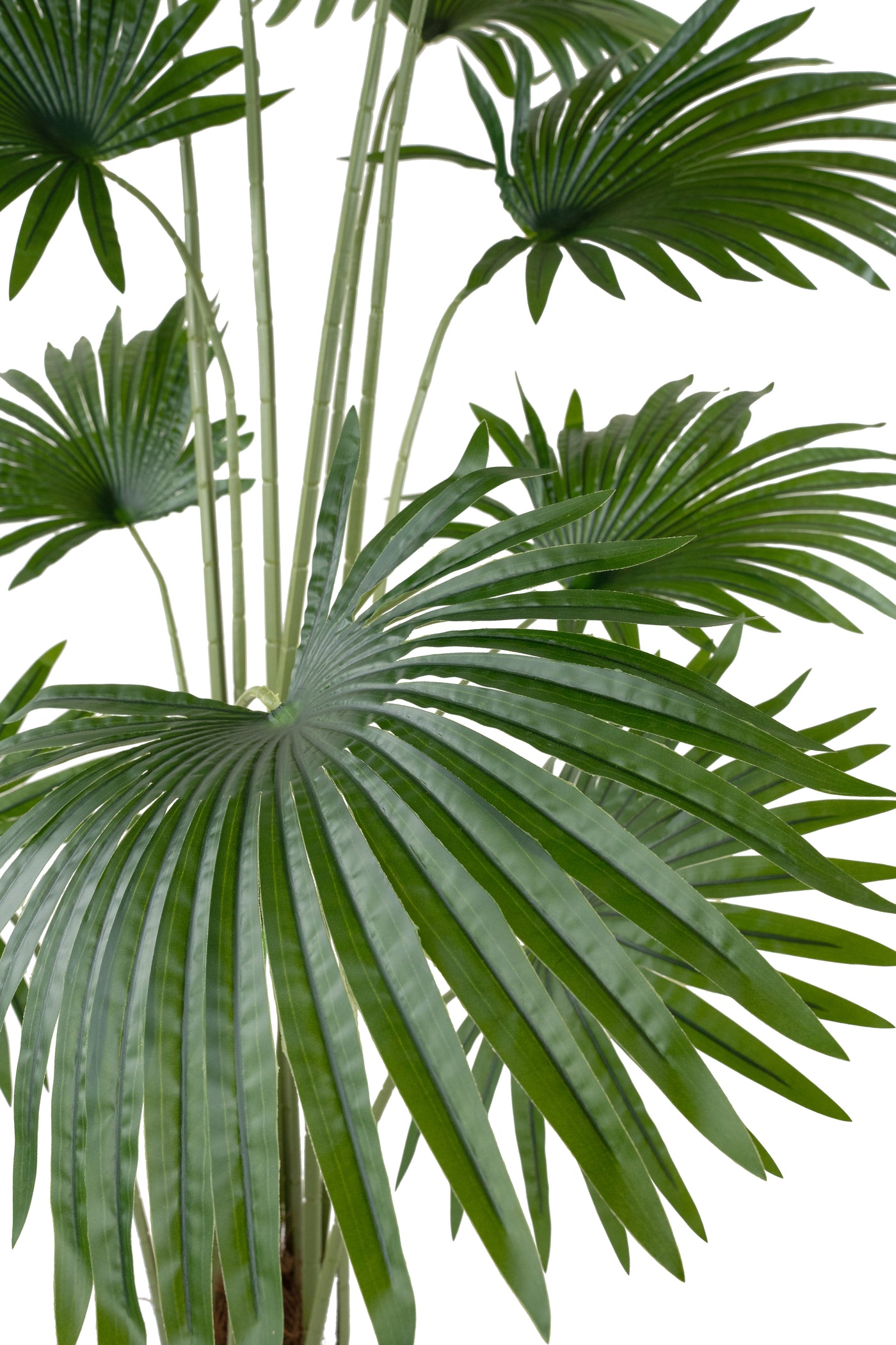 Palmier artificial H160cm Washingtonia robusta cu 12 frunze cu protectie UV