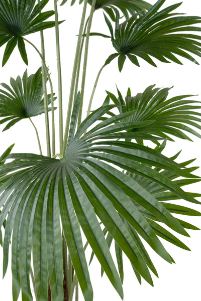 Palmier artificial H160cm Washingtonia robusta cu 12 frunze cu protectie UV