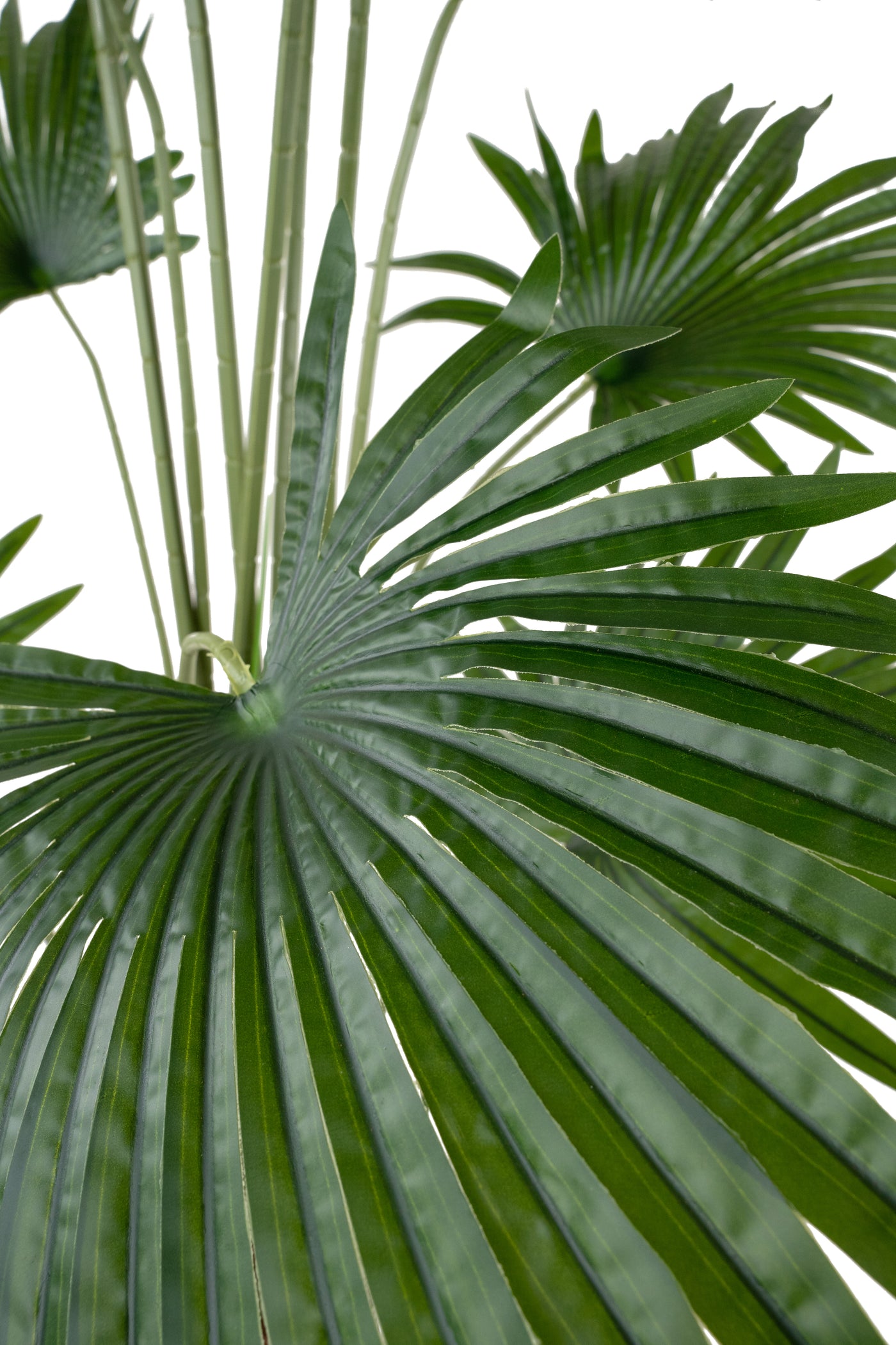 Palmier artificial H160cm Washingtonia robusta cu 12 frunze cu protectie UV