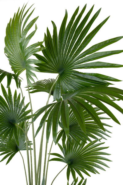 Palmier artificial H160cm Washingtonia robusta cu 12 frunze cu protectie UV