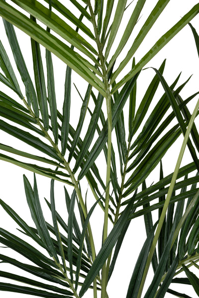 Palmier artificial H170cm Kentia