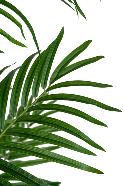 Palmier artificial H170cm Lady palm cu 15 tulpini si 15 frunze