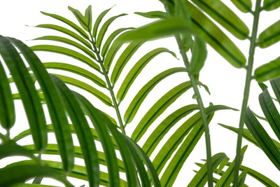 Palmier artificial H170cm Lady palm cu 15 tulpini si 15 frunze