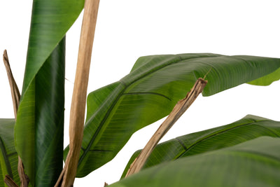 Palmier artificial H180cm Banan cu 11 frunze