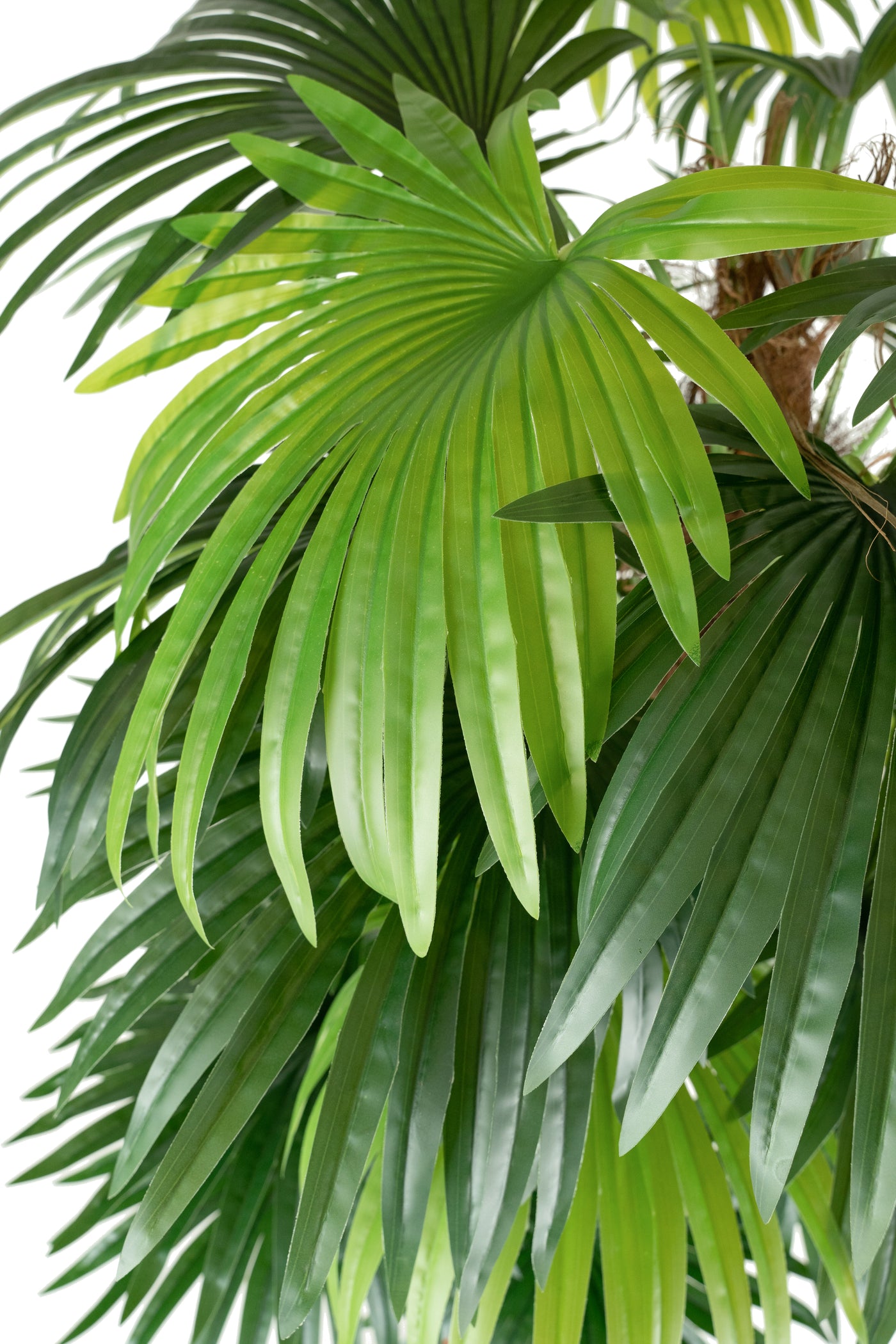 Palmier artificial H180cm Chamaerops humilis cu 2 tulpini si 28 frunze