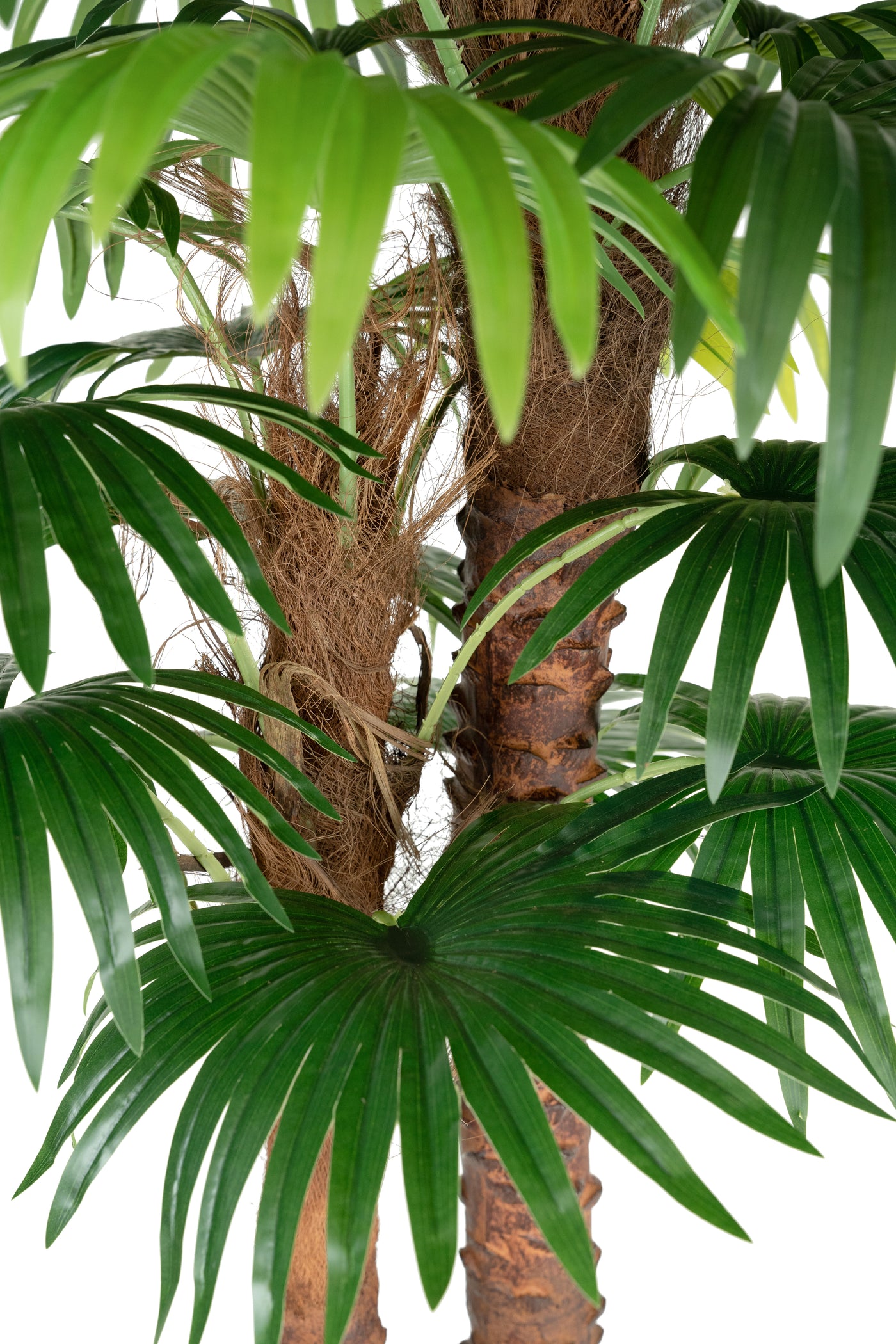 Palmier artificial H180cm Chamaerops humilis cu 2 tulpini si 28 frunze