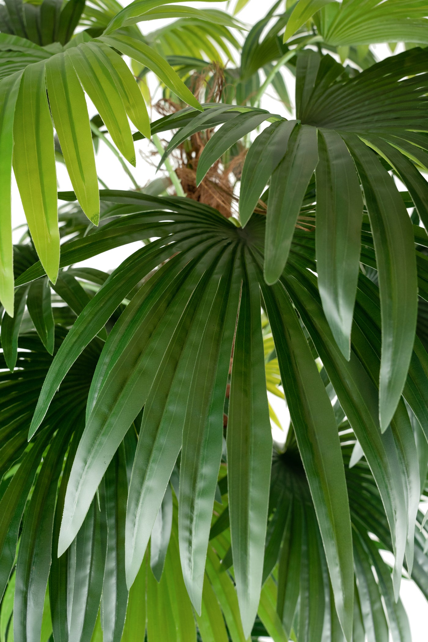 Palmier artificial H180cm Chamaerops humilis cu 2 tulpini si 28 frunze
