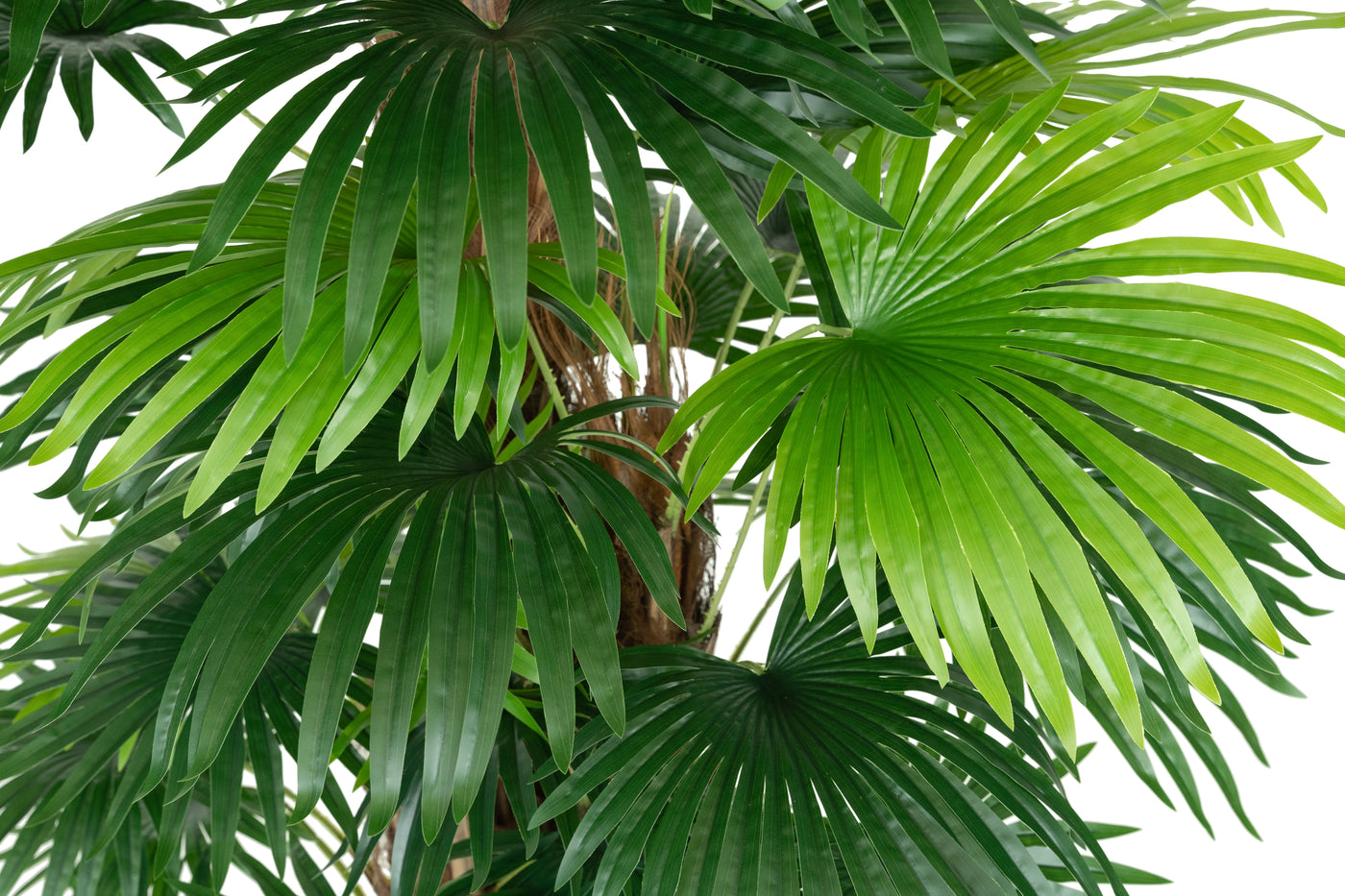 Palmier artificial H180cm Chamaerops humilis cu 48 frunze