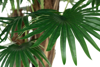 Palmier artificial H180cm Chamaerops humilis cu 48 frunze
