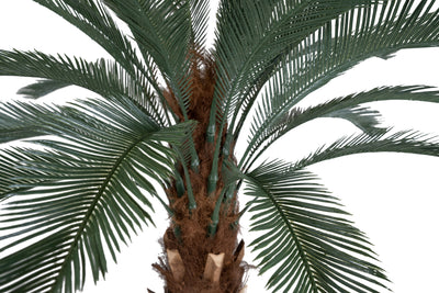 Palmier artificial H180cm Cycas cu 30 frunze cu protectie UV