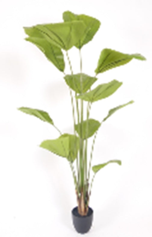 Palmier artificial H180cm Licuala cu 12 tulpini si 12 frunze