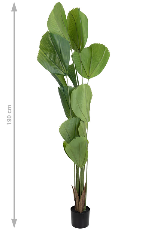 Palmier artificial H180cm Licuala cu 12 tulpini si 12 frunze