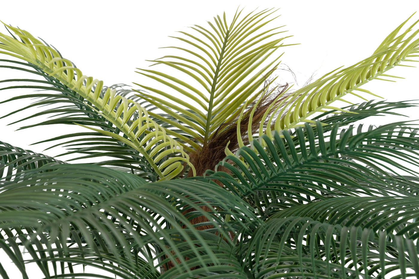 Palmier artificial H180cm Phoenix roebelenii cu 24 frunze cu protectie UV