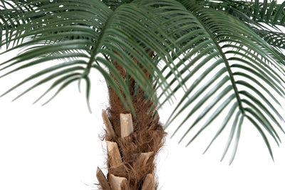 Palmier artificial H180cm Phoenix roebelenii cu 24 frunze cu protectie UV