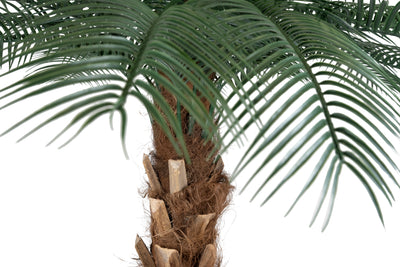 Palmier artificial H180cm Phoenix roebelenii cu 24 frunze cu protectie UV