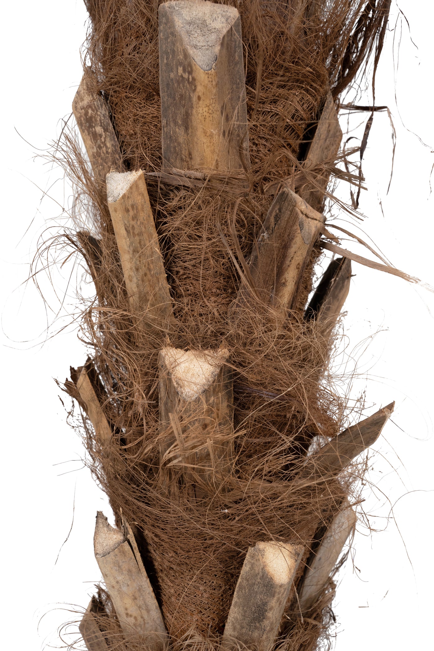 Palmier artificial H180cm Phoenix roebelenii cu 24 frunze cu protectie UV