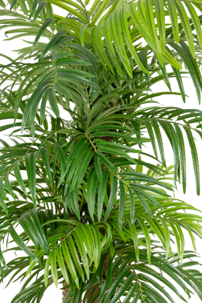 Palmier artificial H180cm Phoenix roebelenii cu 32 frunze