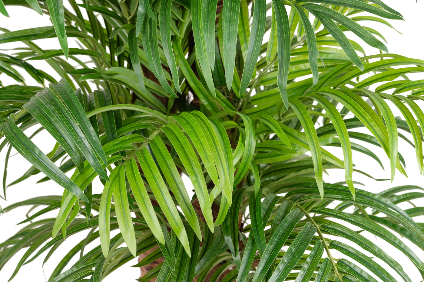 Palmier artificial H180cm Phoenix roebelenii cu 32 frunze