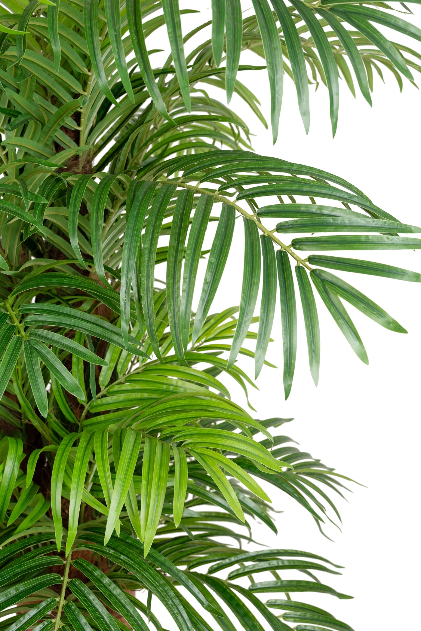 Palmier artificial H180cm Phoenix roebelenii cu 32 frunze