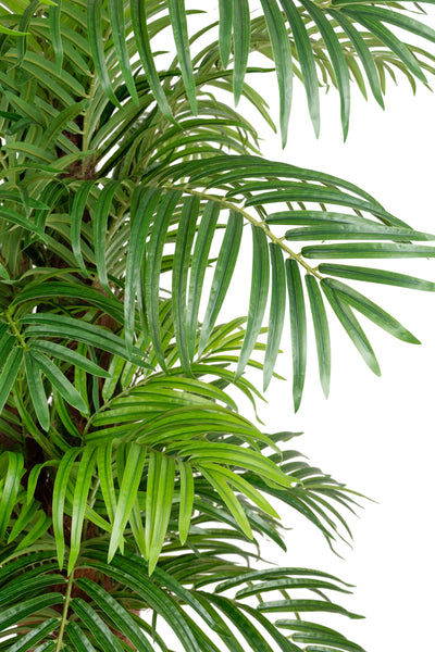 Palmier artificial H180cm Phoenix roebelenii cu 32 frunze