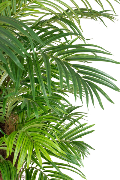 Palmier artificial H180cm Phoenix roebelenii cu 36 frunze