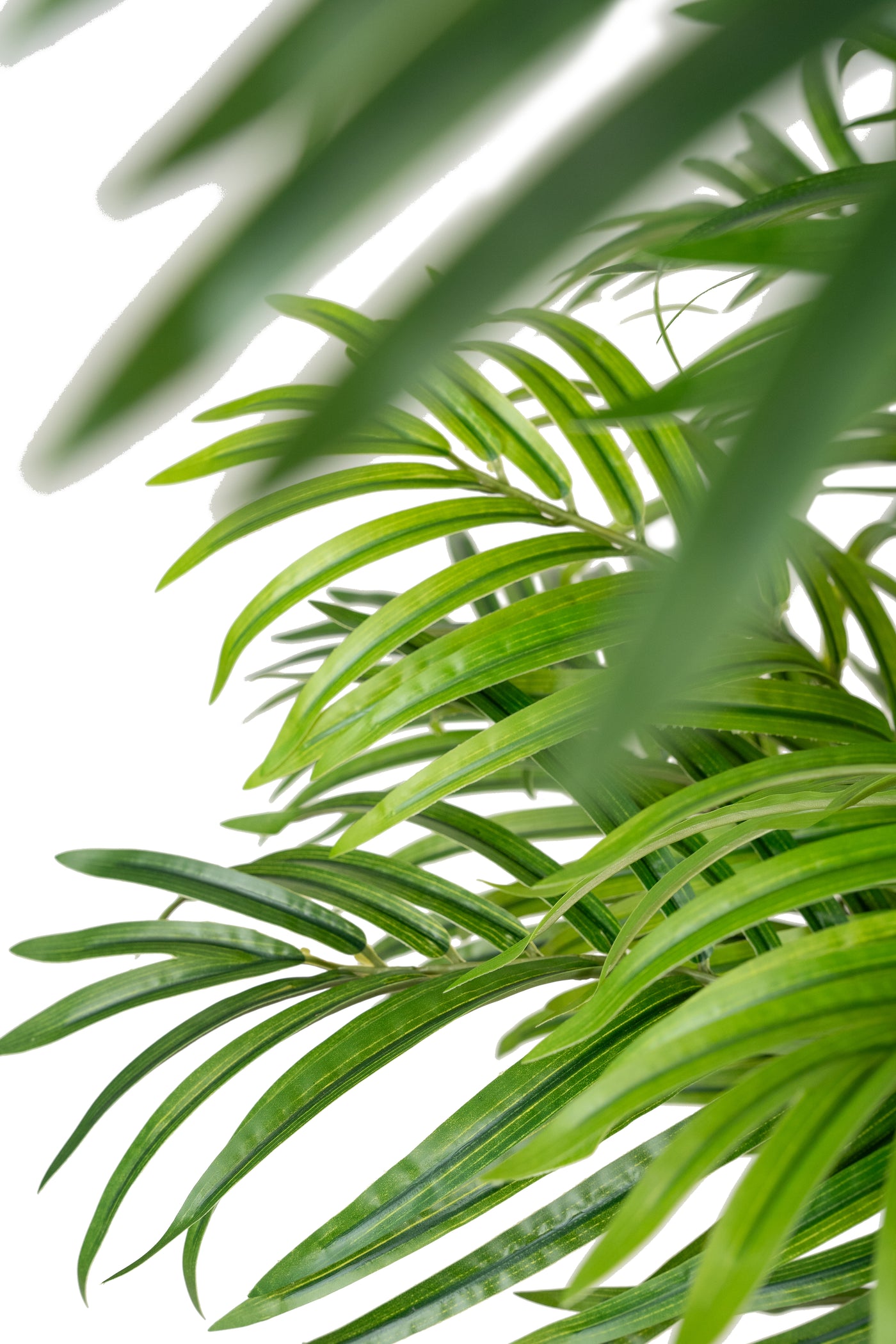 Palmier artificial H180cm Phoenix roebelenii cu 36 frunze