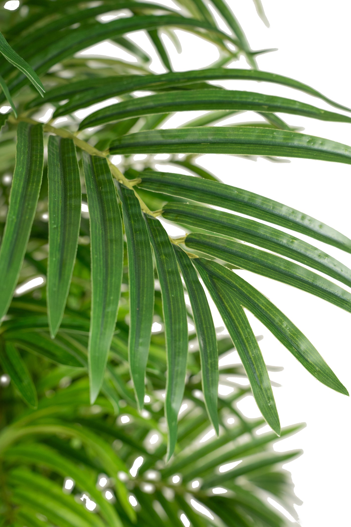 Palmier artificial H180cm Phoenix roebelenii cu 36 frunze