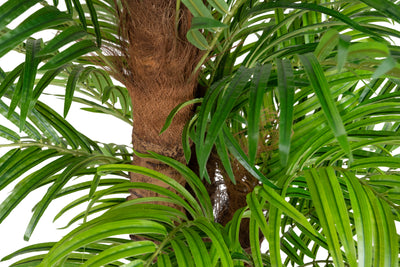 Palmier artificial H180cm Phoenix roebelenii cu 36 frunze