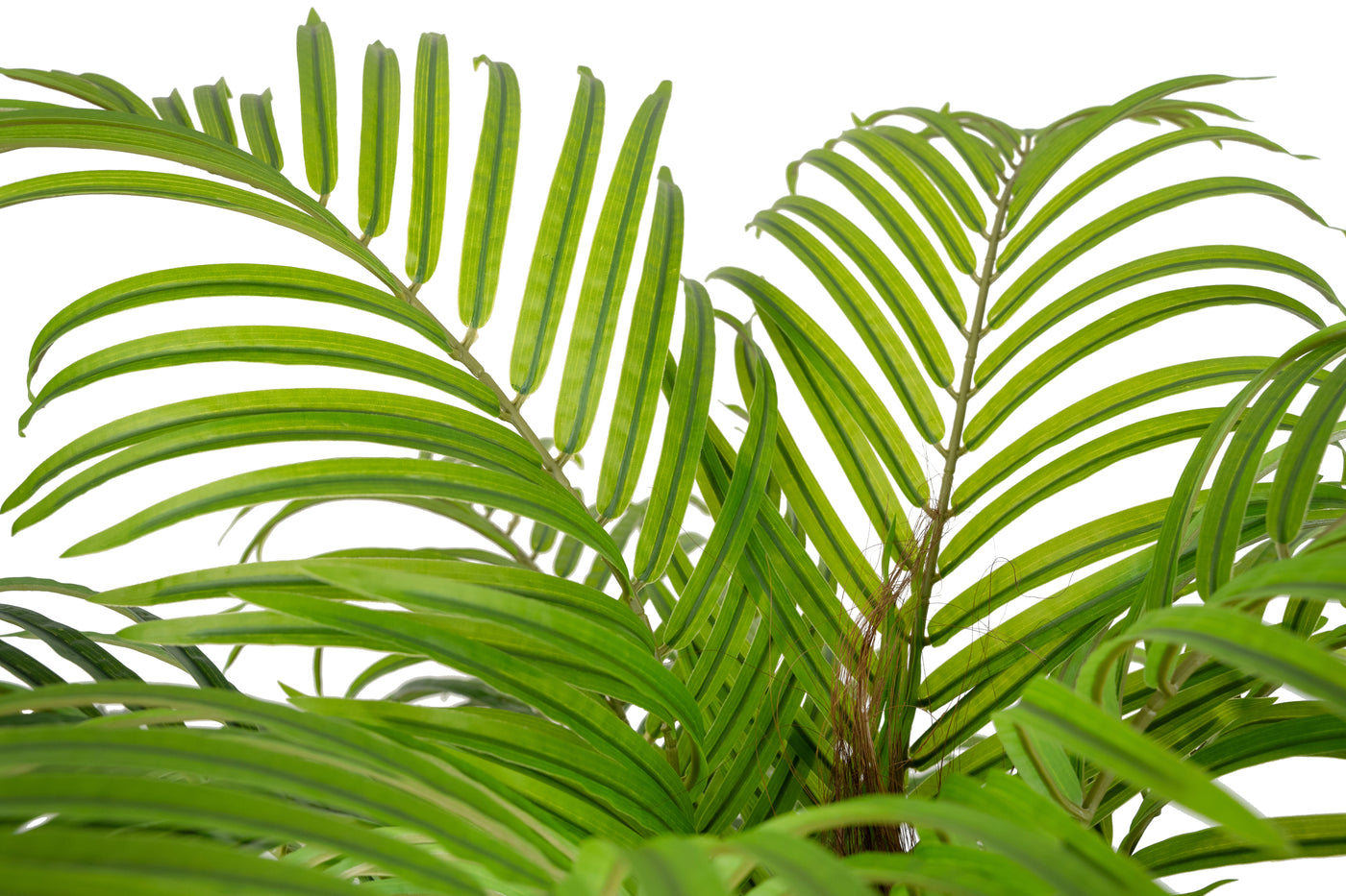 Palmier artificial H180cm Phoenix roebelenii cu 36 frunze