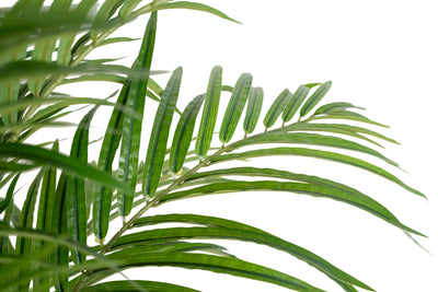 Palmier artificial H180cm Phoenix roebelenii cu 36 frunze