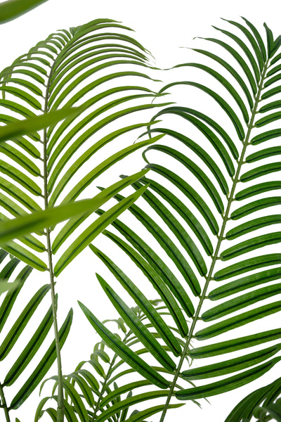 Palmier artificial H195cm Lady palm cu 15 tulpini si 15 frunze