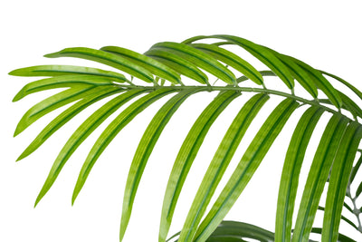 Palmier artificial H195cm Lady palm cu 15 tulpini si 15 frunze