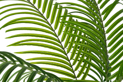 Palmier artificial H195cm Lady palm cu 15 tulpini si 15 frunze