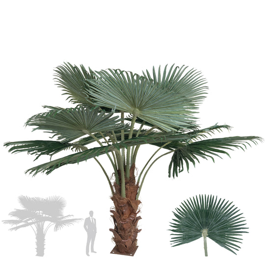 Palmier artificial H200cm Washingtonia. coroana D300cm cu protectie UV