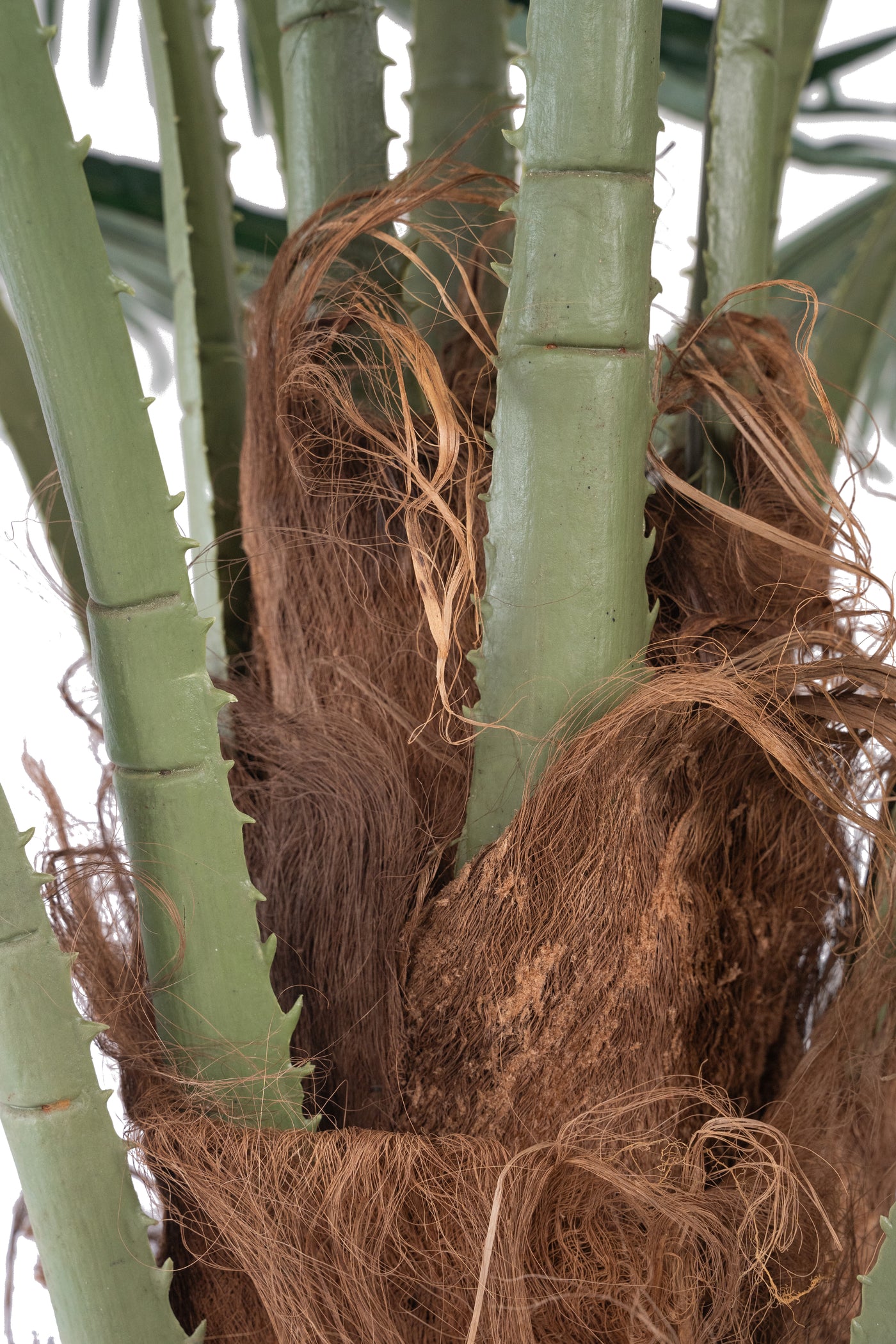 Palmier artificial H200cm Washingtonia. coroana D300cm cu protectie UV