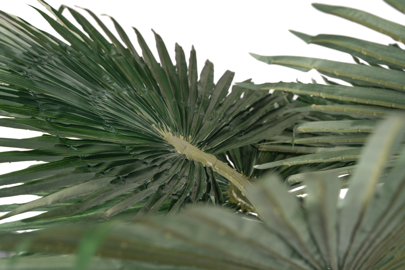 Palmier artificial H200cm Washingtonia. coroana D300cm cu protectie UV